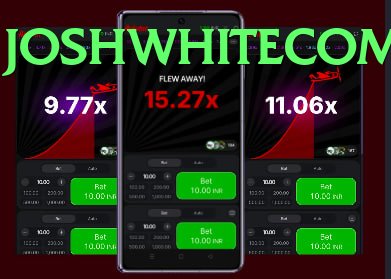 betpkr game app for Pakistan players